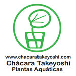 Chácara Takeyoshi - Plantas Aquáticas